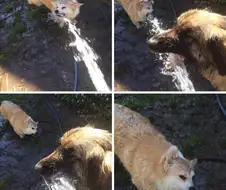 낙수효과 특