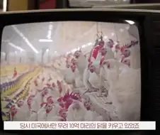 실험실에서 탄생시킨 모두의 치킨 레시피