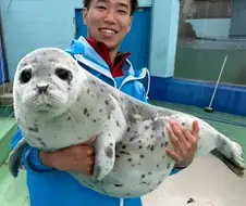 가벼워 보이지만