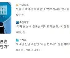 미국에서 가짜 변호사인거 걸리면 생기는 일