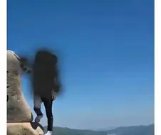 천황산 꼭대기에 유기된 강아지