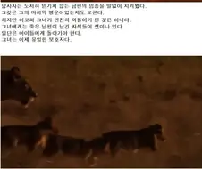 스압) 사자 다큐 레전드.jpg