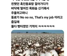 흑인:이민자들이 일자리를 뺏어가려고 한다.jpg