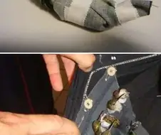 벌새 오래 키우는 방법. JPG