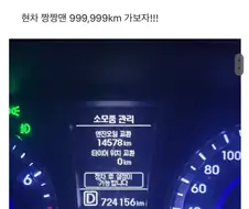 현대차 짱이라는 차주