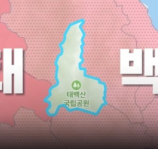 폭염때 태백으로 도망가야 하는 이유