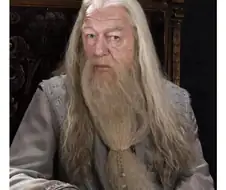 해리포터) 덤블도어가 가짜 확인 방법