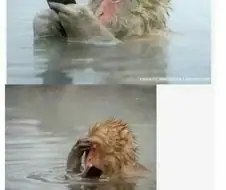???:야 죽을 각오로 하면 이 세상 못하는 일 없어