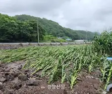 숙명여대에 농대가 없는 가장 큰 이유