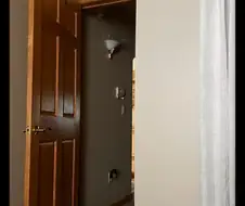 틈새사이로 절묘하게 쳐다보는 고양이.twit