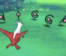 야생의 안농이 나타났다.jpg