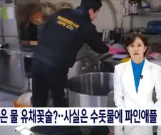 제주 특산품 유채꽃술의 정체