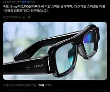 주식) 주가 떡락시킨 안경