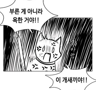 인성터진 고양이와 착한 강아지.manwha