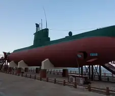 ??? : 북항 상어가 인기라고?