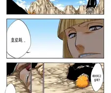 블리치) 말한적이 없다