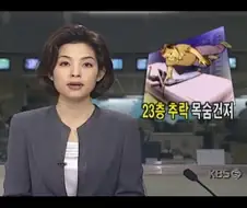 울산 아파트 23층 추락 사건