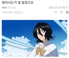 블리치)네 바이저드 분들 호로화 하면 더 강해지시는거 잘 알겠고요