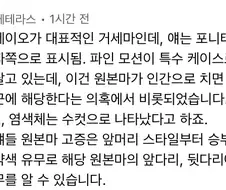 [말딸] 토카이 테이오 심영설