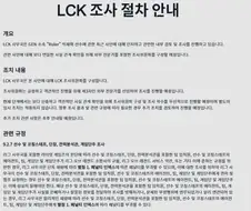 룰러 사과문올라온이유