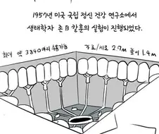 1957년에 실제로 실험했던 인구실험 만화