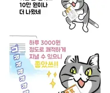 하루 3000원으로 건강을 지키는 방법