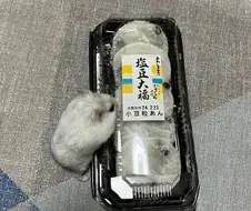 이봐 구해줄게! 조금만 참아.