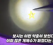 서울에서 러브버그보다 심각해질 문제