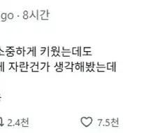 "소중하게 자랐는데 왜 이 꼬라지일까"
