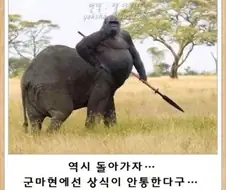 일본 군마현 밈 모음집
