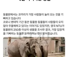 동물원에서 사람 오면 제일 좋아하는 동물