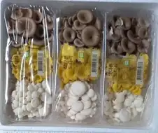 먹을 수 있는 버섯 특징 알려줌