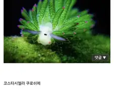 워해머 40K) 티라니드가 개씹 범부 종족인 이유.png