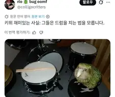"우리집에 카카포가 처들어왔어"