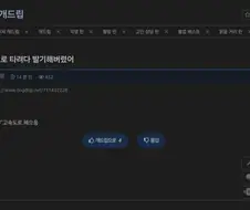 고속도로 타다가 발기한 남성