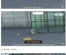 출연자와 짜고치던 동물농장 구조영상