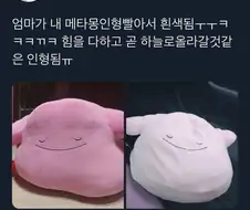 창백한 메타몽.jpg