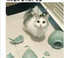 내면의 아름다움이란 얼마나 하찮은가.jpg