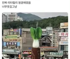 친구가 자기 동네에 청경채 동상이 있다는 거야.jpg