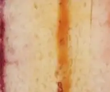 난 씹덕 천박 드립에 벽 느낀게 이건데