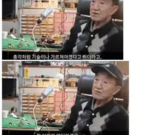 나이 들고 보면 가장 멍청한 소리