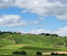 프랑스 지형의 장단점