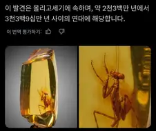 3천만년 전 사마귀