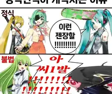 정식 번역과 불법 번역의 차이점
