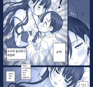 내마위)누나의 술버릇이 위험해.manwha