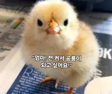 커서 꿈을 이룬 공룡