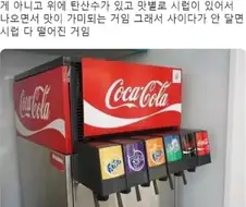 패스트푸드점 탄산음료의 비밀