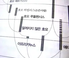 뭐야? ＇알려지지 않은 호모＇가 있다고?!