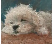 어느 화가 키우던 말티즈를 그리워하면 그린 작품