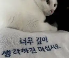 너무 깊은 생각하진 마십시오